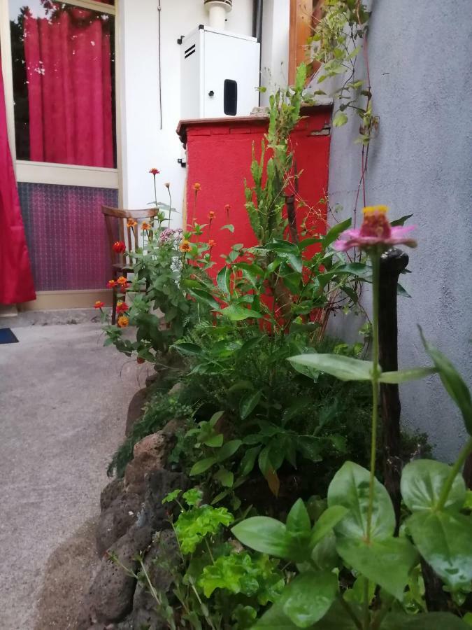 B&B Daddanca Ales ภายนอก รูปภาพ
